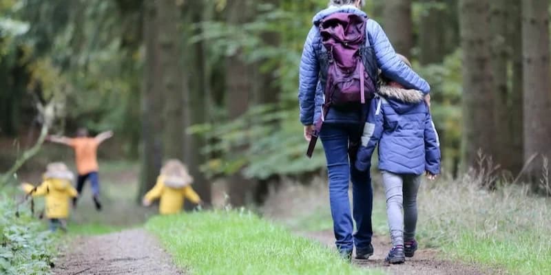 Walking to Lose Weight: The Complete Step & Calorie Chart